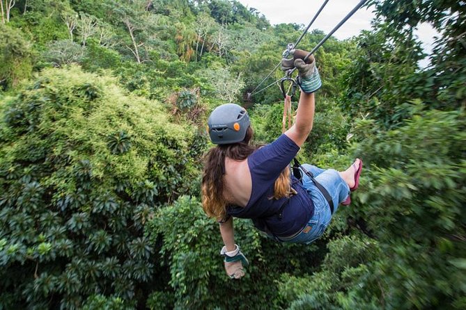 Jungle top adventures zipline coxen hole honduras